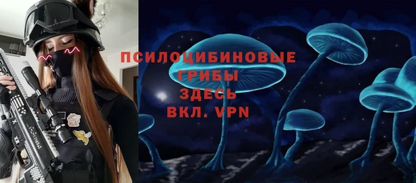 СК Протвино