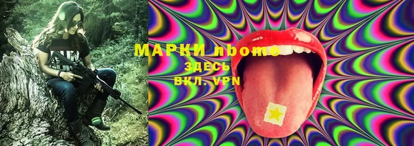 эйфоретик Покачи