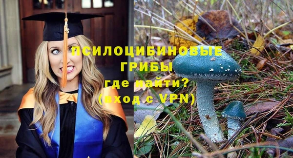 эйфоретик Покачи