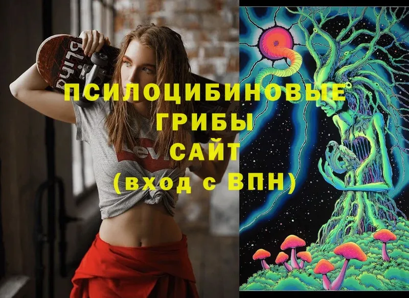 Псилоцибиновые грибы Cubensis Полярные Зори