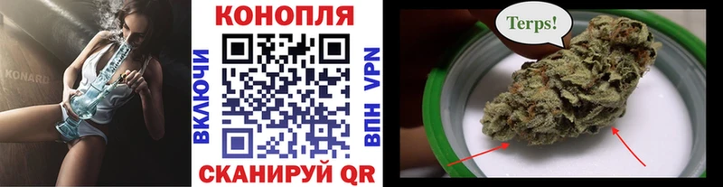 как найти наркотики  Полярные Зори  МАРИХУАНА гибрид 